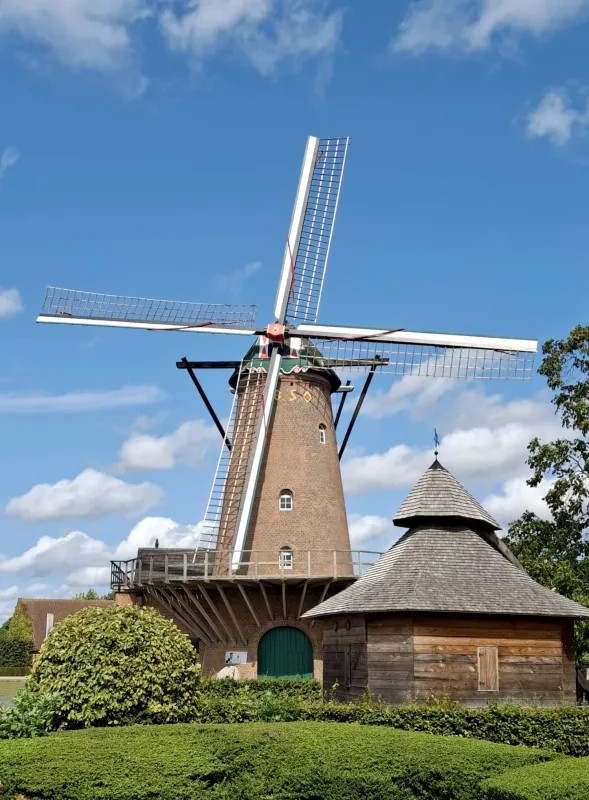 Foto 2 van Arbeid Adelt, Molen Verheyen, Weelde (Ravels), Thomas Bertens, 04.09.2025 | Database Belgische molens Arbeid Adelt, Molen Verheyen, Weelde (Ravels), Thomas Bertens, 04.09.2025 | Database Belgische molens