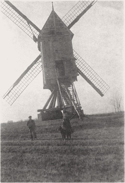 Molen op het Goor, Molen Bruynseels, Molen van 't Molenveld