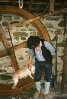 Foto van <p>Roue à chien de la Clouterie</p>, Sart-lez-Spa (Jalhay), Foto: J. Laurent, januari 1999 | Database Belgische molens