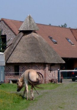Foto van Rosmolen, Ertvelde (Evergem), Foto: Donald Vandenbulcke, Staden | Database Belgische molens