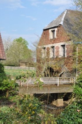 <p>Grote Molen</p> <p>Grote Molen</p>