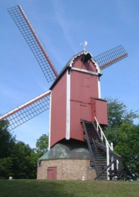 De Nieuwe Papegaai<br />Bosmolen
