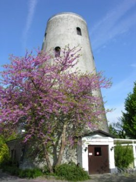 Braetsmolen<br />Oostmolen<br />De Wieke
