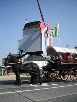 Foto van Molen van 't Heiken, Aartselaar, Foto: Jef Wijckmans | Database Belgische molens