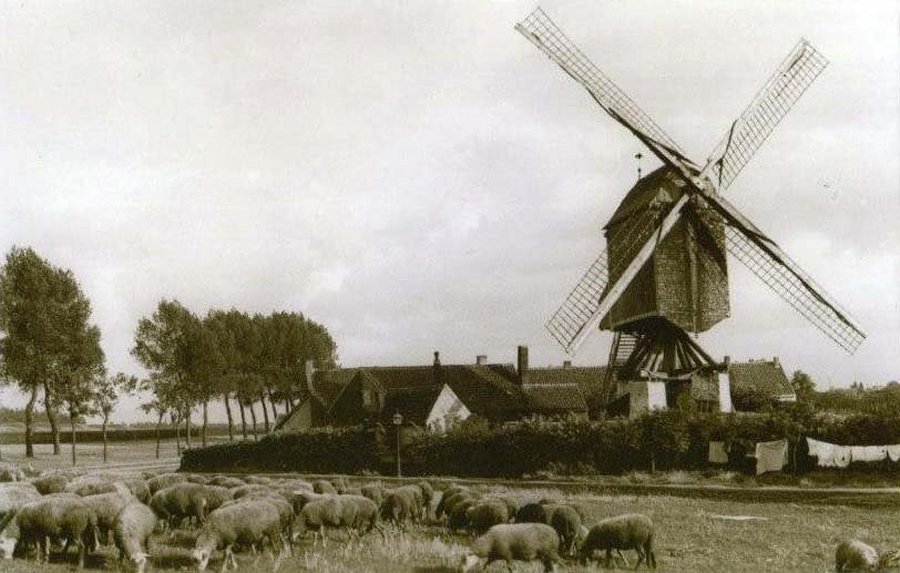 Beerschotmolen, Molen van het Kiel