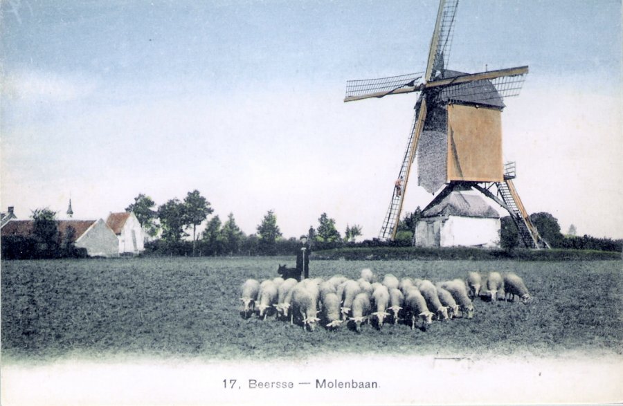 Molen Van Roey