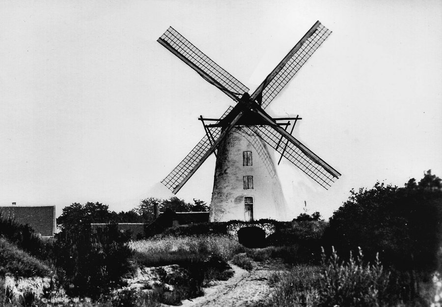 Heymolen aan de Zavelberg, Stenen Molen