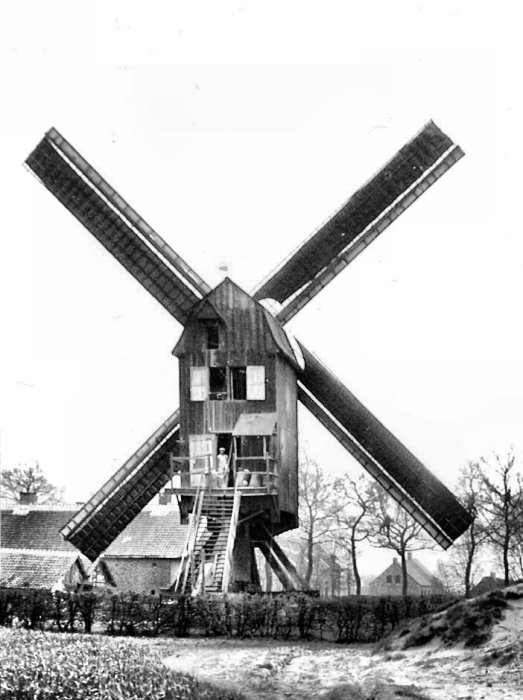 Houten Borchtmolen Houten molen van Holven Molen Raeymaekers