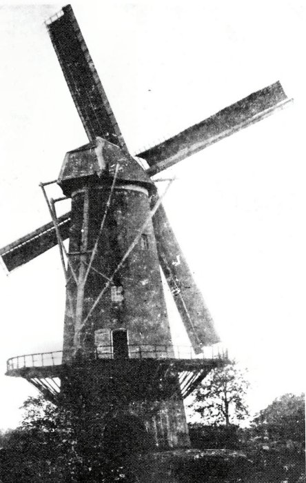 Halmolen, Molen Raeymaekers