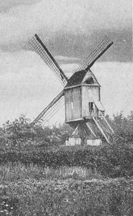 Molen van de Oude God, Liekensmolen