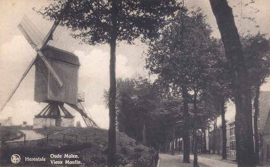 Molen op de Vesten, Walmolen, Schorsmolen, Driesenmolen