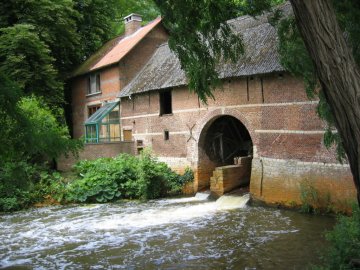 Foto van Herlaarmolen<br />Herlaermolen, Herenthout, Foto: Frans Van Bruaene, 17.06.2007 | Database Belgische molens