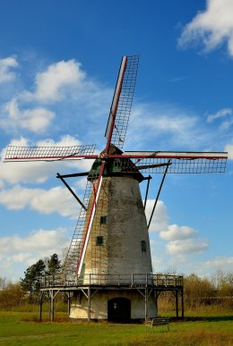 De Eenhoorn - II, Witte Molen - II