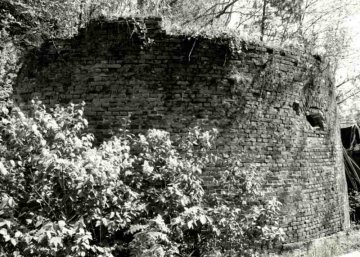 Foto van Molen van Battel<br />Battelmolen<br />Battelsemolen<br />Molen Verelst, Mechelen, Foto: 11.04.1994 | Database Belgische molens