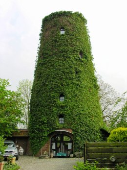 Foto van Molen Van Looveren, Stabroek, Foto: Donald Vandenbulcke, 01.05.2009 | Database Belgische molens