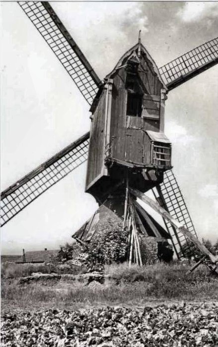 Sint-Lenaartsmolen, Molen van het Heiken, Molen van het Molenheike, Nieuwe Molen, Molen van Meeussen, Molen van Biteut, Sint-Leonardsmolen