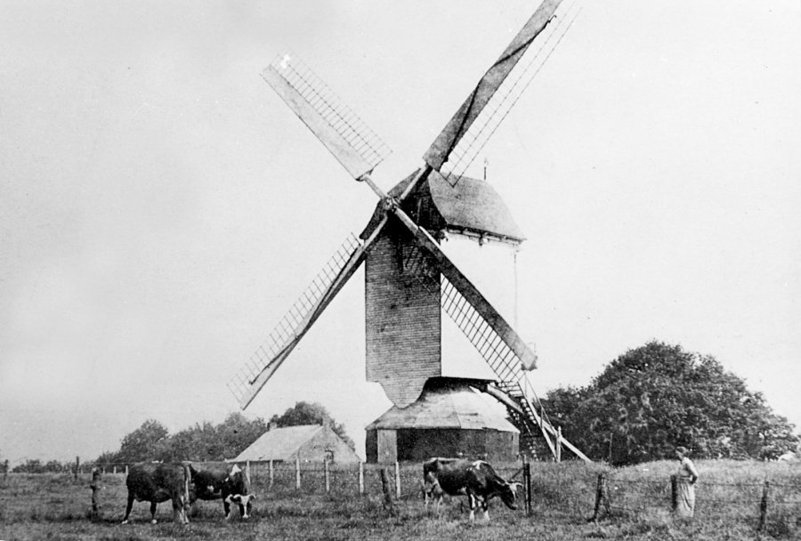 Haevensemolen