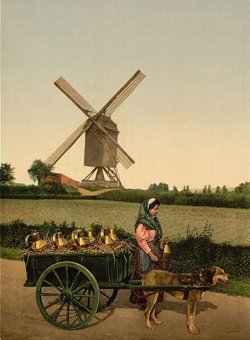 Molen van Het Rad, Moulin de La Roue