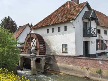 Foto van Groenmolen, Alken, Foto: Fran?ois Gijsbrechts, Linkhout | Database Belgische molens