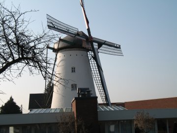 De Stormvogel, Al Mulino