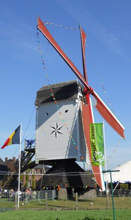 Foto van Stermolen, Eksel (Hechtel-Eksel), Foto: Rob Simons, Sint-Huibrechts-Lille | Database Belgische molens