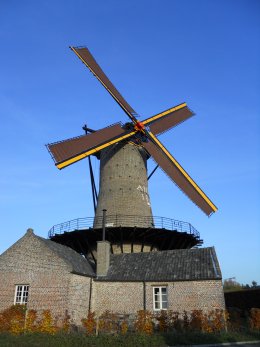 Foto van Napoleonsmolen<br />Mathijsenmolen<br />Van Breemolen, Hamont (Hamont-Achel), Foto: Rob Simons, Sint-Huibrechts-Lille | Database Belgische molens