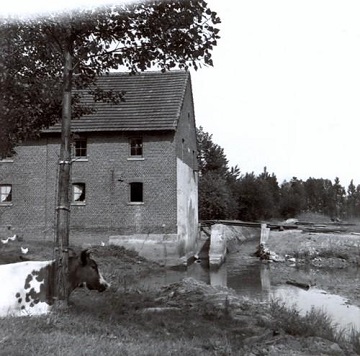 Foto van Mombeekmolen, Hasselt, Verzameling Ons Molenheem | Database Belgische molens