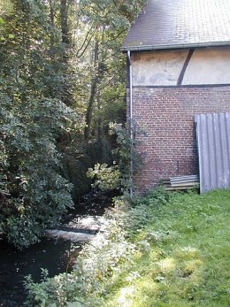 Terlaemenmolen, De Paddock