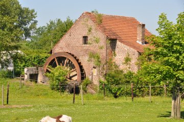 Leverenmolen