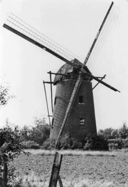 Molen Sallaerts