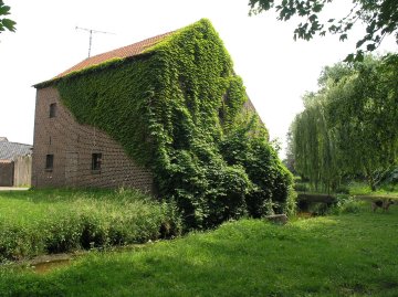 Foto van Langerenmolen, Neeroeteren (Maaseik), Foto: Wim Jans, 2007 | Database Belgische molens