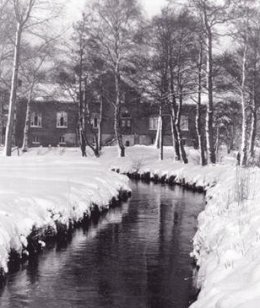 Foto van Molen Dewerd<br />Volmolen<br />Villa des Saules, Neerpelt (Pelt), Foto Ben Harmsen , coll. Davy Hermans     | Database Belgische molens