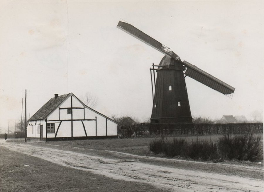 Galgemolen, Galgenmolen, Molen Rodiers