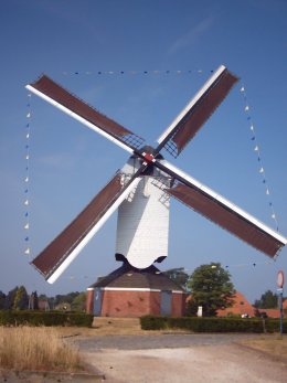 Foto van Oude Molen, Tessenderlo, Foto: Rob Simons, Sint-Huibrechts-Lille  | Database Belgische molens