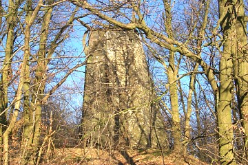 Foto van Schaliënmolen, Tessenderlo, Foto: Frans Heytens | Database Belgische molens