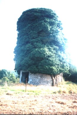 Moulin de Scry, Vieux Moulin