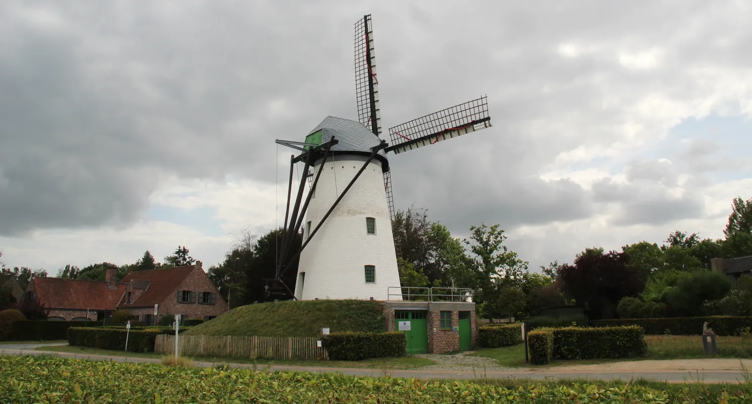 Schelderomolen, Schelderodemolen