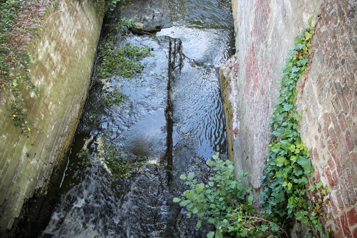 Foto 4 van Herlegemmolen, Zaubeekmolen, 't Waterkot van Herlegem, Kruishoutem (Kruisem), Denis Van Cronenburg, 17.05.2025 | Database Belgische molens Herlegemmolen, Zaubeekmolen, 't Waterkot van Herlegem, Kruishoutem (Kruisem), Denis Van Cronenburg, 17.05.2025 | Database Belgische molens
