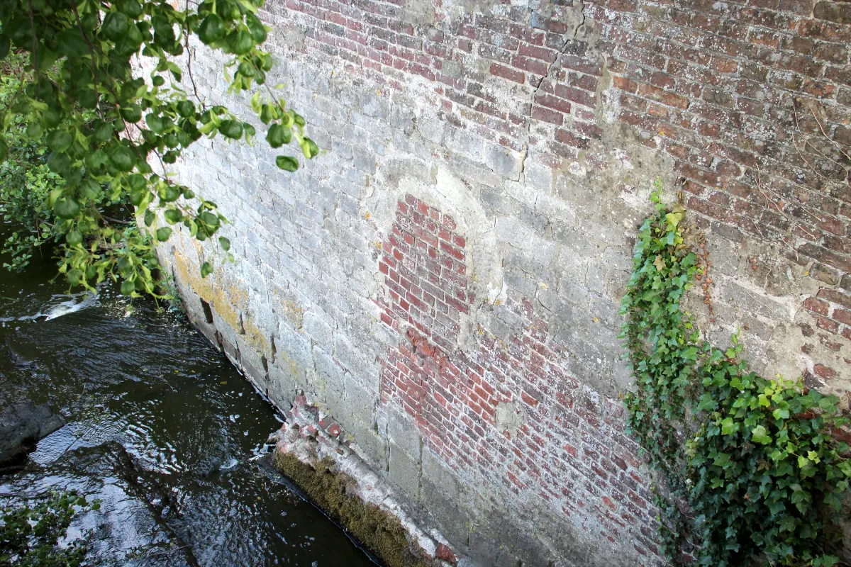 Foto 5 van Herlegemmolen, Zaubeekmolen, 't Waterkot van Herlegem, Kruishoutem (Kruisem), Denis Van Cronenburg, 17.05.2025 | Database Belgische molens Herlegemmolen, Zaubeekmolen, 't Waterkot van Herlegem, Kruishoutem (Kruisem), Denis Van Cronenburg, 17.05.2025 | Database Belgische molens