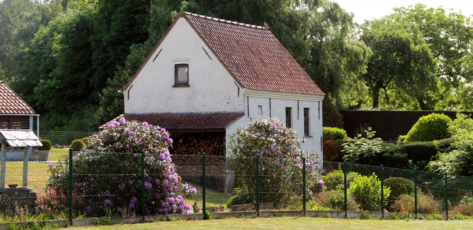 Tjammelsmolen, Tjammelskot