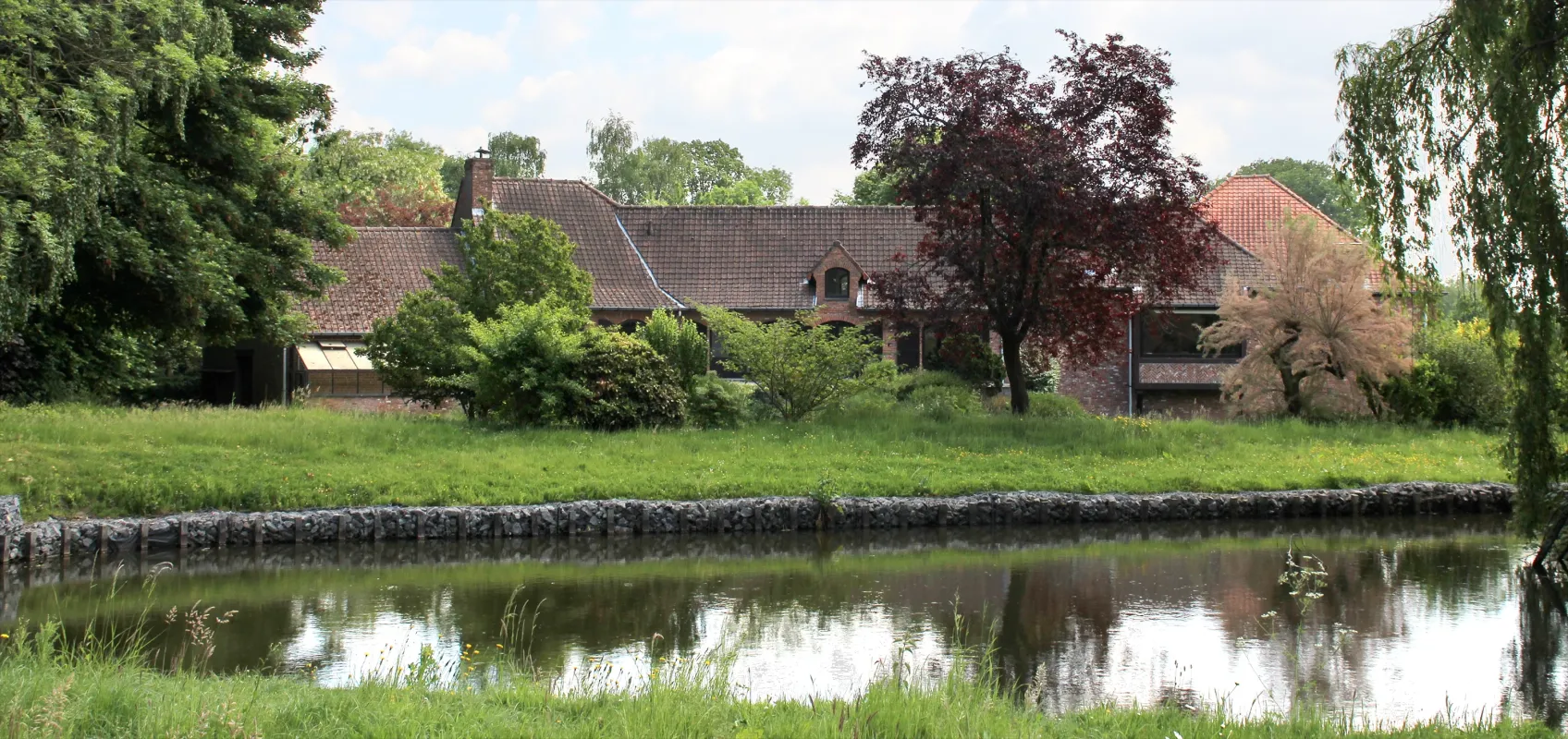 Kleppemolen, Terkleppemolen