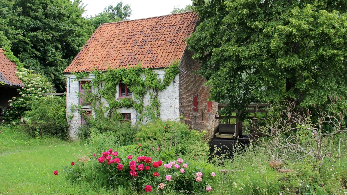 Pedes Molentje, Bistmolen