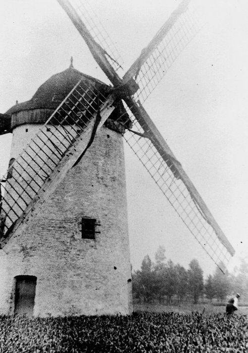 Molen De Wolf, Windstampmolen