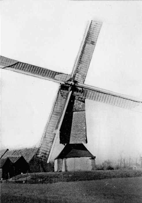 Rekkelingemolen, Bachtemolen, Molen Van Damme