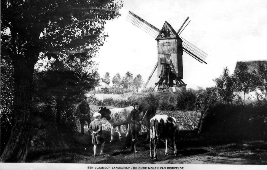 Grote Molen, Beerveldemolen, Molen De Clercq