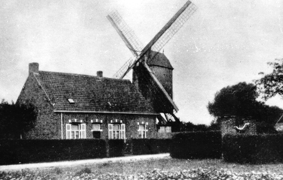 Molen De Clercq, Molen Auman