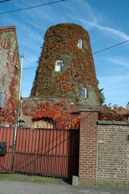 Foto van <p>Molen Auman<br />Molen Buyst</p>, Destelbergen, Foto: Donald Vandenbulcke, 11.10.2008 | Database Belgische molens