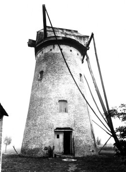 Brielmolen Molen den Briel Braeckmans molen Molen Braeckman