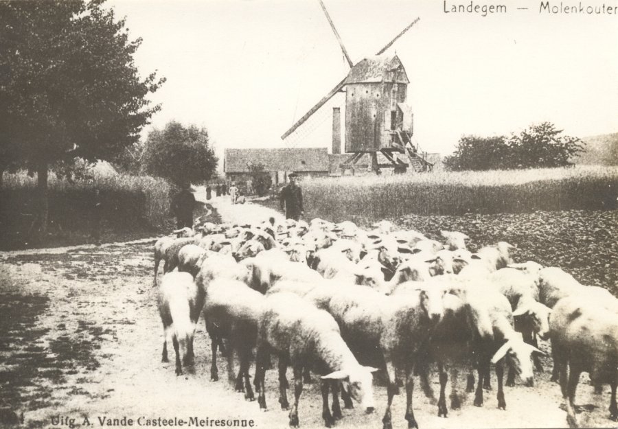 Heirenthoekmolen Herenthoekmolen