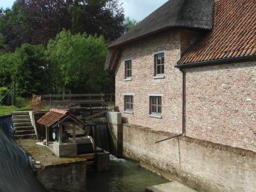 Foto van Watermolen Berlengée, Ophasselt (Geraardsbergen), Foto: Maarten Osstyn, Adegem, 04.05.2014 | Database Belgische molens